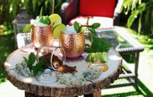 a table with three plants in copper pots on a tree stump at Hotel Casa del Marqués in Santillana del Mar