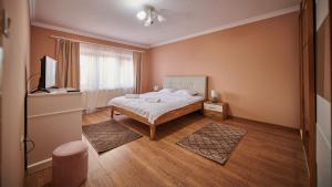 a bedroom with a bed and a television in it at Vila Ţara Haţegului in Haţeg