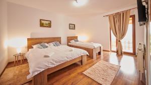 a bedroom with two beds and a large window at Vila Ţara Haţegului in Haţeg