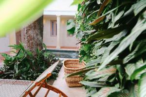 un patio avec deux chaises, des plantes et un arbre dans l'établissement Casa Jaguar Hotel Boutique, à Carthagène des Indes