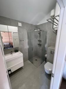 a bathroom with a shower and a sink and a toilet at Apartamentai “Kuršių Snauda” in Palanga +66 photos