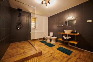a bathroom with a toilet and a sink and a shower at Vila Ţara Haţegului in Haţeg