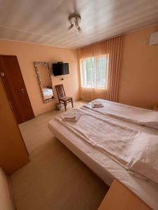 1 dormitorio con cama, espejo y silla en Вила Никови, en Durankulak