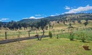 vistas a un campo con valla y árboles en Butia, en San-Giovanni