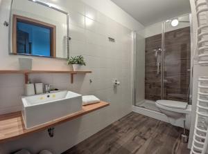 a bathroom with a sink and a toilet and a shower at Zającówka in Polanica-Zdrój +60 photos