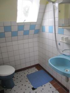 ein Badezimmer mit einem WC und einem blauen Waschbecken in der Unterkunft Ferienwohnung in Hohen Viecheln in Hohen Viecheln