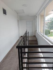Mynd úr myndasafni af Srebrna Laguna í Veliko Gradište