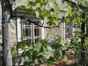 una ventana de un edificio de piedra con hojas verdes en A lovely house in Vipava valley en Vipava