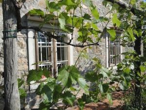 una ventana de un edificio de piedra con hojas verdes en A lovely house in Vipava valley, en Vipava