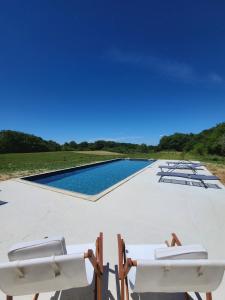 a swimming pool with lounge chairs on the roof at La Première Vigne in Puycelci
