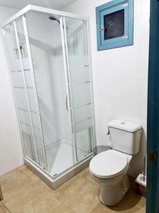ein Bad mit einem WC und einer Glasdusche in der Unterkunft A aira da xoaniña in Allariz