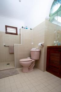 une salle de bain avec des toilettes roses et une douche dans l'établissement Budgies, à Cozumel