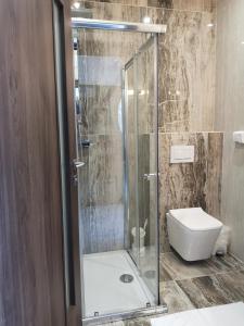 a bathroom with a shower and a toilet at Hotel Biele Studničky Dargov in Drahov
