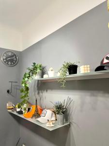 a shelf with plants and a clock on a wall at Mini Smart Studio - Self Check-in in Graz