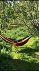 a hammock hanging from a tree in a field at House in Ballstad in Lofoten in Skotnes