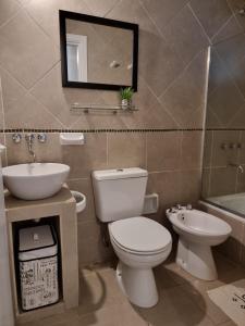 a bathroom with a toilet and a sink and a mirror at Marfil in Posadas