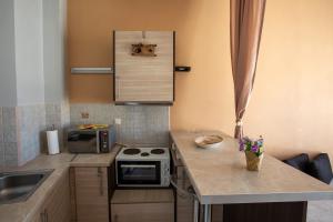 a small kitchen with a counter top and a microwave at Mrs, Aphrodite's Studio in Chios