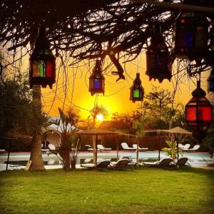 un groupe de lumières suspendues à un arbre avec un coucher de soleil en arrière-plan dans l'établissement Les Jardins D'issil, à Ourika