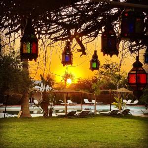 a group of lights hanging from a tree with a sunset in the background at Les Jardins D'issil in Ourika