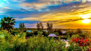 - un coucher de soleil sur un jardin planté d'arbres et de fleurs dans l'établissement Les Jardins D'issil, à Ourika