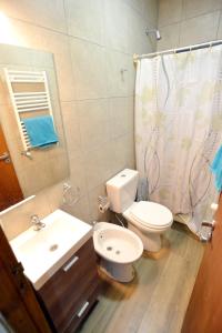 a bathroom with a toilet and a sink and a mirror at Loft los Ñires in Ushuaia