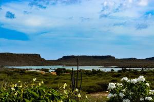 un lago en medio de un campo con flores en Jan Kok Lodges, en Willibrordus