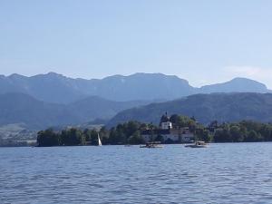 a house on a island in the middle of a lake at Altstadt Bed&Bike in Gmunden