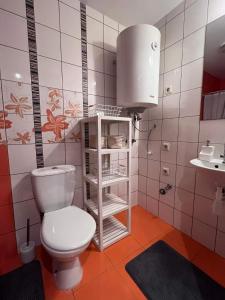 La salle de bains est pourvue de toilettes et d'un lavabo. dans l'établissement Apartamentai Forest green, à Nido