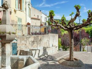 Un albero in mezzo a una strada di Majestic Villa in Callas France with Private Pool a Callas
