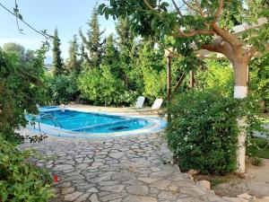 Πισίνα στο ή κοντά στο Villa Elia 