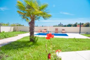 Bazén v ubytovaní Holiday Home - Istrian Dream with swimming pool alebo v jeho blízkosti