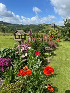 a garden with flowers and a bird house at Westerley Country B & B with exclusive Guest lounge in Buckfastleigh