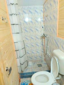 a small bathroom with a toilet and a shower at Casa Gabriela in Vama Veche +33 photos