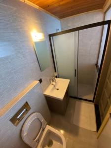 a bathroom with a toilet and a sink and a shower at Ankh Pension in Kaleucagız