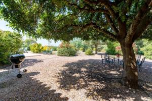 A garden outside Casa Alta Finca El Revuelo