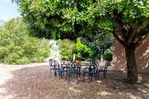 A garden outside Casa Alta Finca El Revuelo