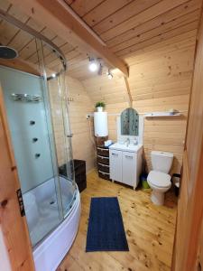 a bathroom with a shower and a toilet and a sink at Sasinowe Zacisze in Sasino