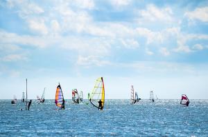 a group of sailboats in the ocean on the water at Appartement de vacances - Splendide vue sur mer, Parking privé in Le Barcarès