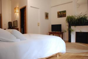 a bedroom with a white bed and a television at Appartement de charme au cœur d une cité médiévale in Villefranche-de-Conflent