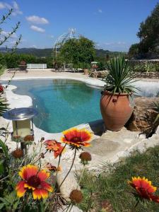 a swimming pool with a potted plant and flowers at Gîte en Pays Cathare in Pomas