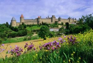 a field of flowers with a castle in the background at Gîte en Pays Cathare in Pomas
