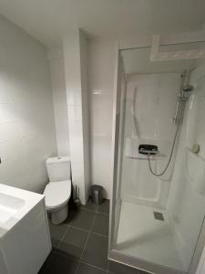 a bathroom with a shower and a toilet and a sink at Studio Just For 2 in Ostend