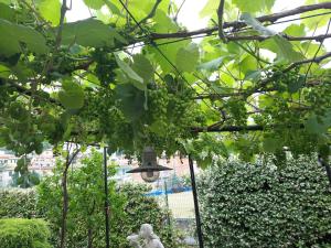 A garden outside La Villa