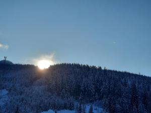 Sonnenuntergang auf einem schneebedeckten Hügel mit Bäumen in der Unterkunft Gästehaus Gamsblick in Werfenweng