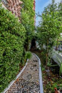 Vonkajšia záhrada v ubytovaní Calma Luxury Apartments #2 Sozopoli in Halkidiki