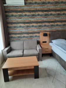 ein Wohnzimmer mit einem Sofa und einem Bett in der Unterkunft Бутикови Студиа БРИТА in Kranewo