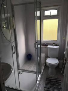 a bathroom with a shower and a toilet and a window at 'Le Chalet II' free unlimited wifi 2 bed chalet House in Pembrokeshire