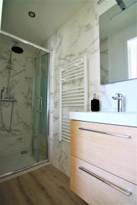 ein Bad mit einer Glasdusche und einem Waschbecken in der Unterkunft T2 lumineux - Segré hyper Centre - Wifi - Netflix in Segré