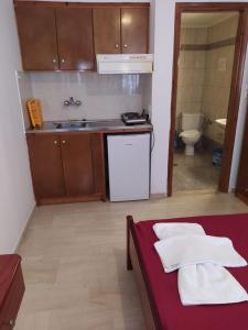 een kleine keuken met een wastafel en een aanrecht bij Michalis Place Apartments in Vasiliki