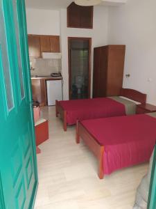 een woonkamer met 2 bedden en een keuken bij Michalis Place Apartments in Vasiliki